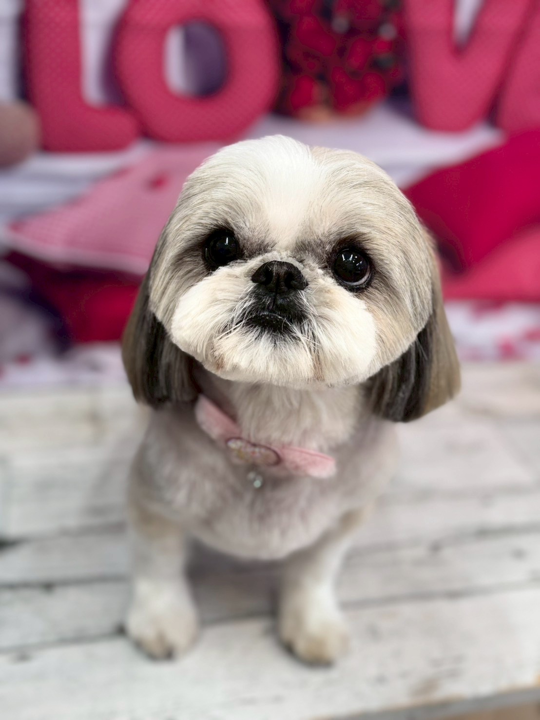 �O���[�~���O�T���� �I���[�W��