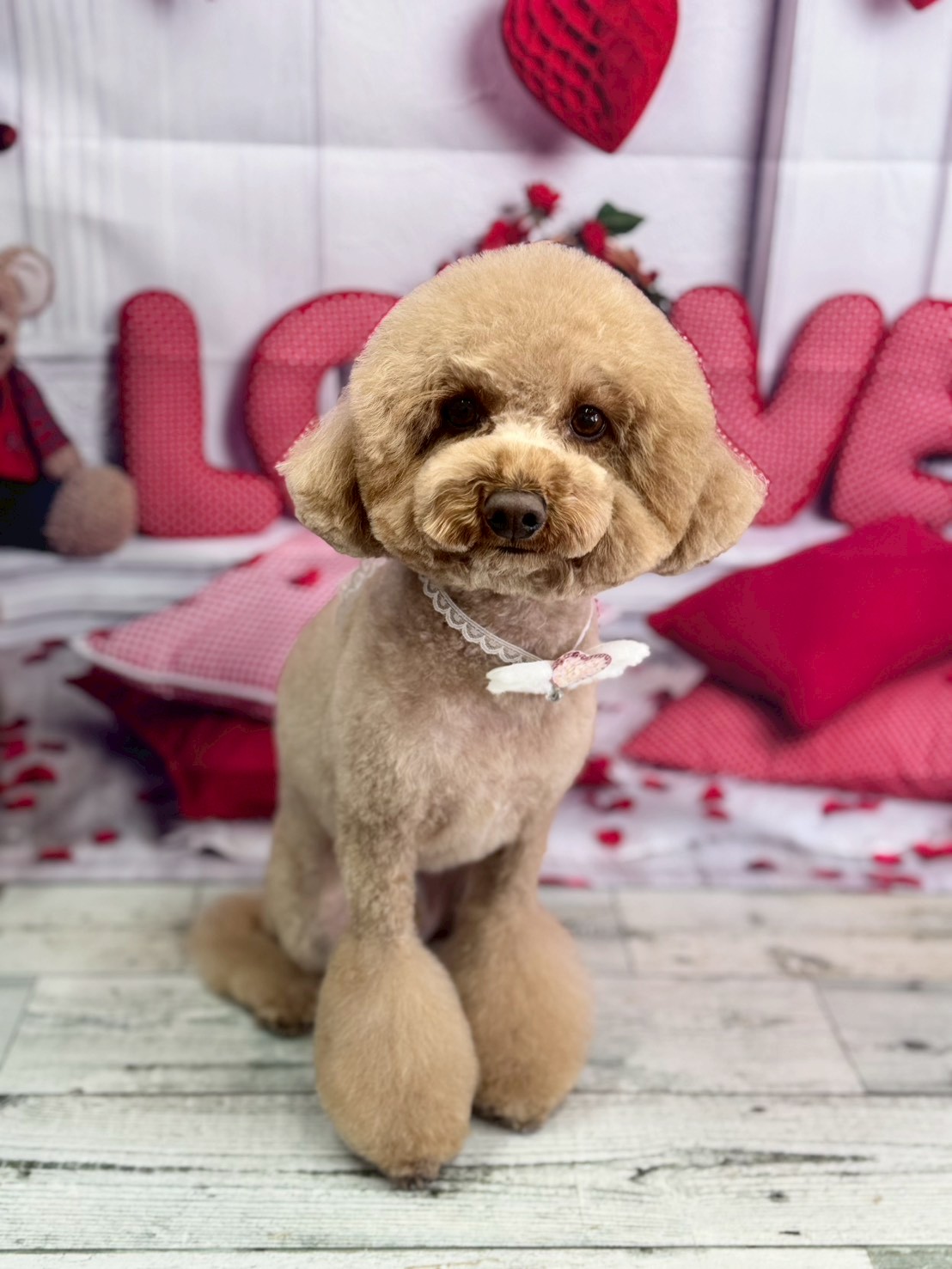 �O���[�~���O�T���� �I���[�W��