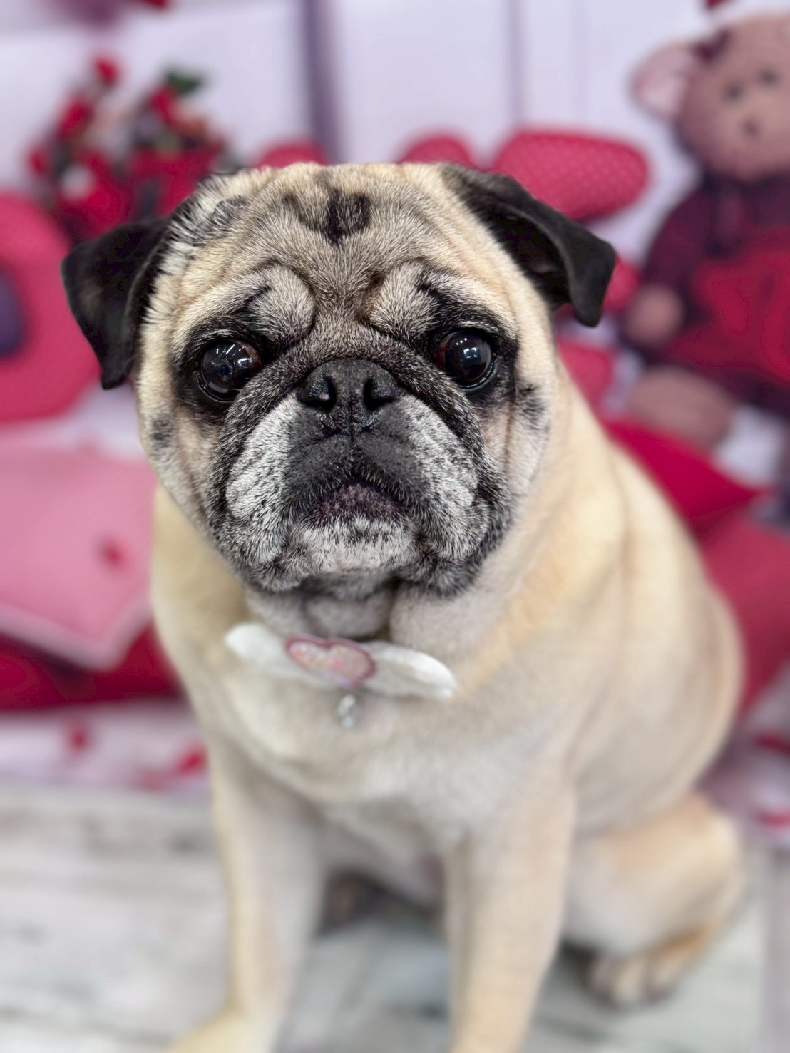 �O���[�~���O�T���� �I���[�W��