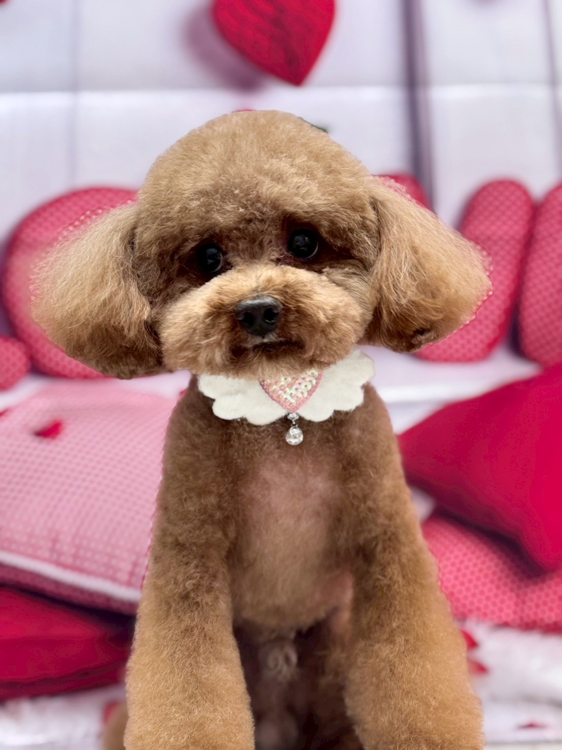 �O���[�~���O�T���� �I���[�W��