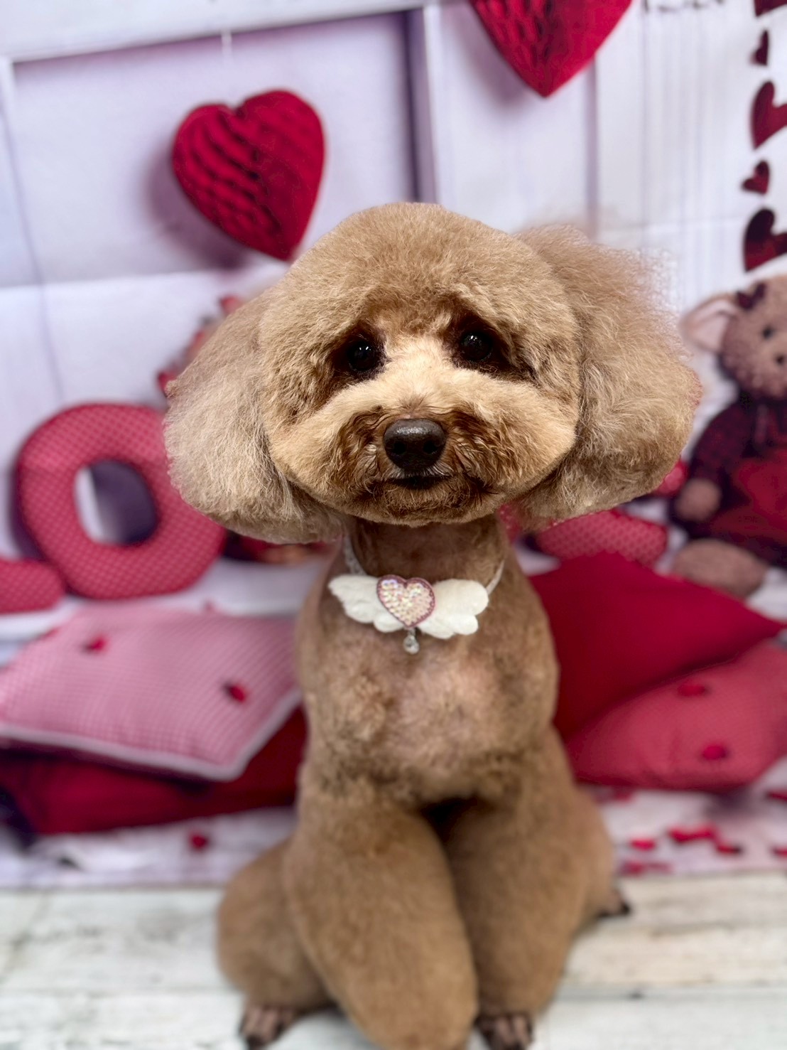 �O���[�~���O�T���� �I���[�W��