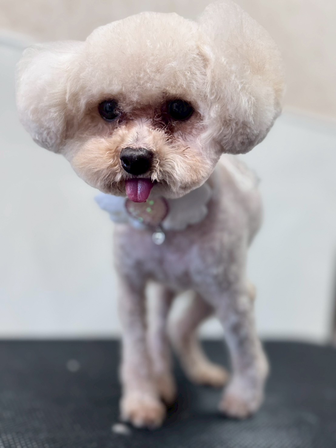 �O���[�~���O�T���� �I���[�W��