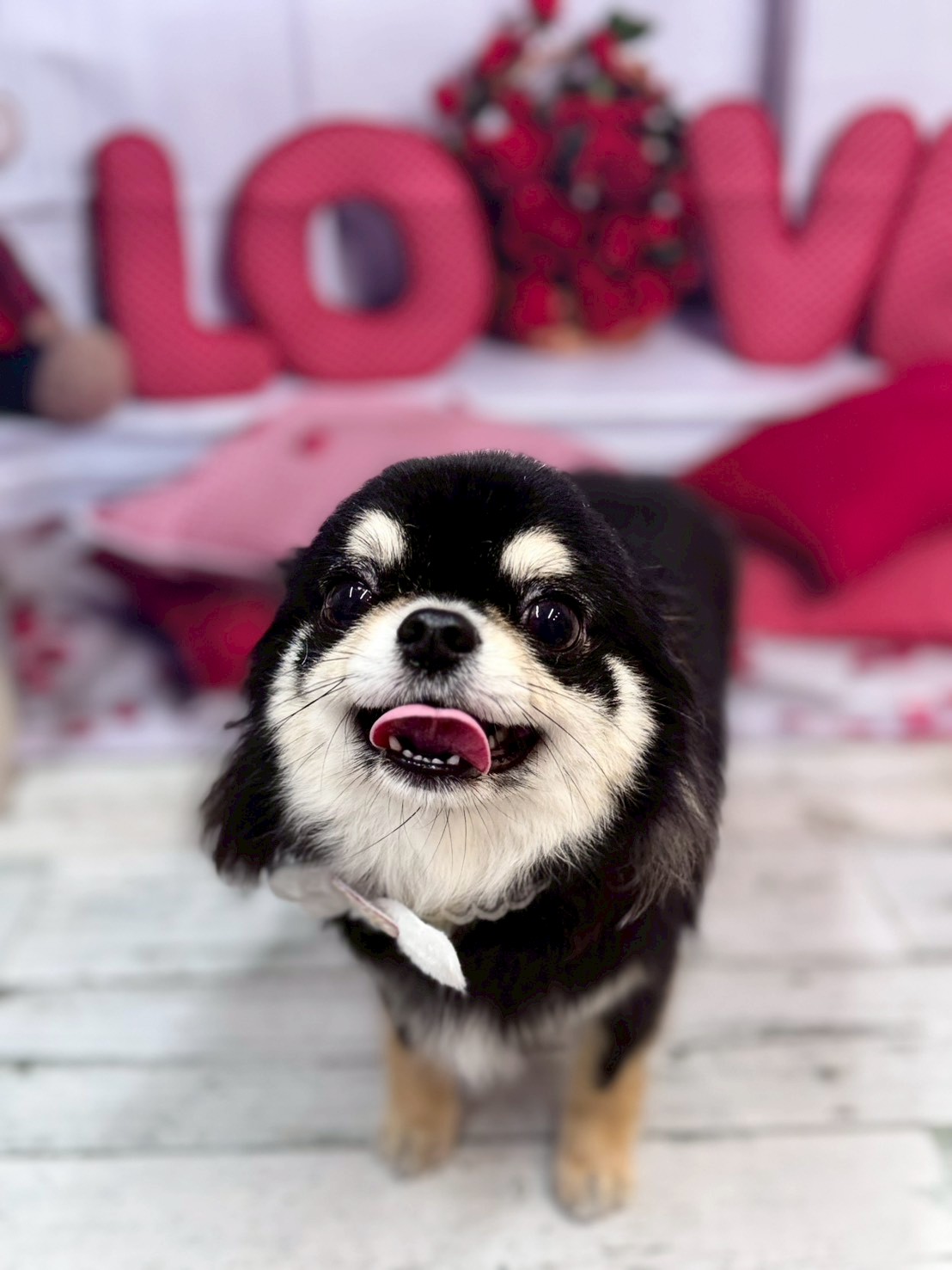 �O���[�~���O�T���� �I���[�W��