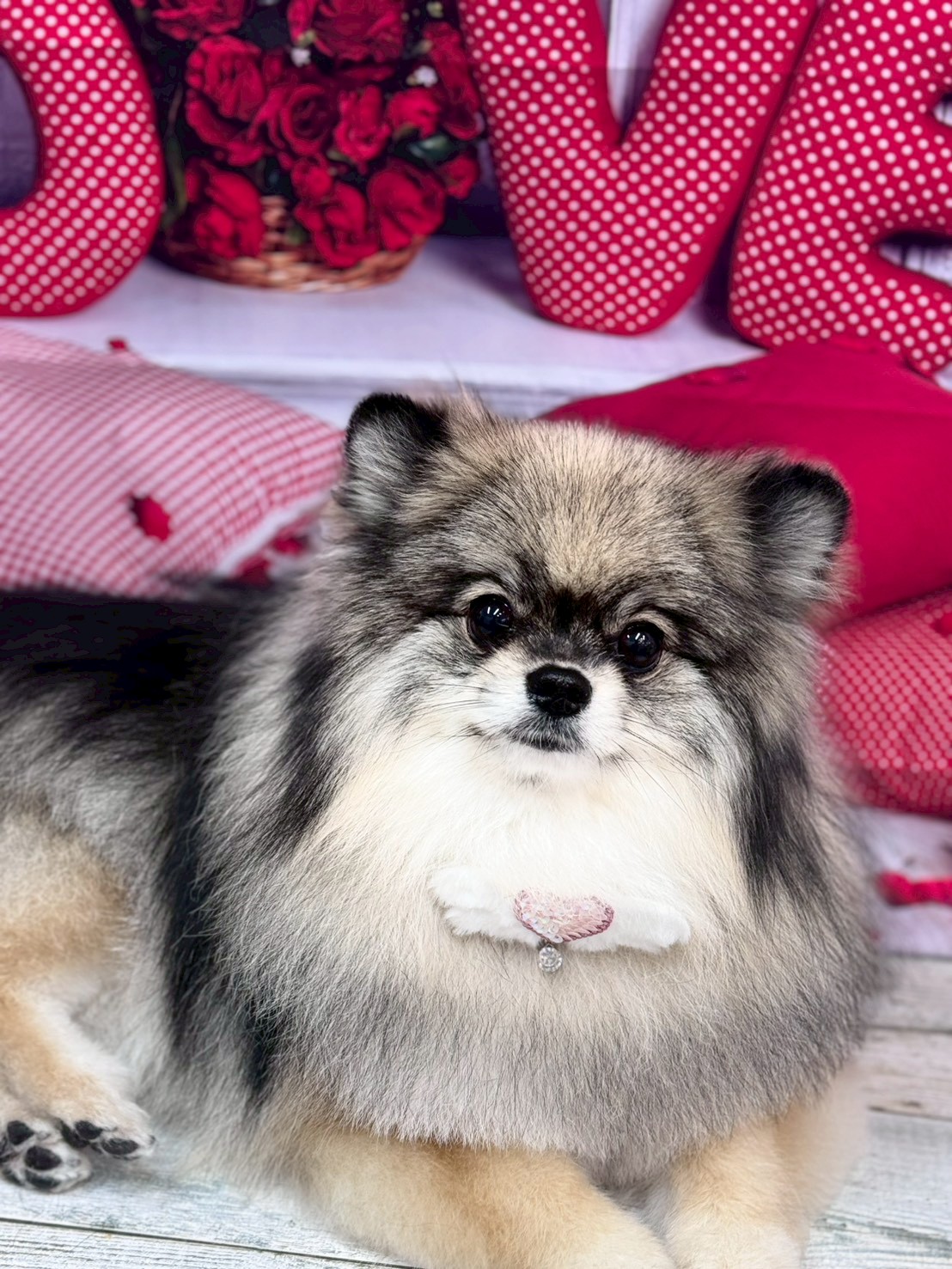 �O���[�~���O�T���� �I���[�W��