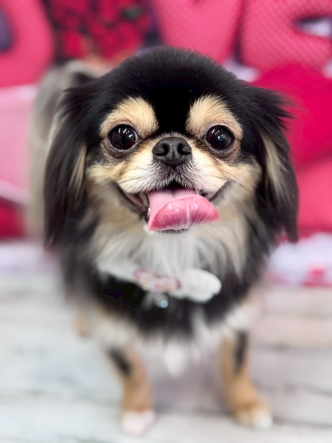 �O���[�~���O�T���� �I���[�W��