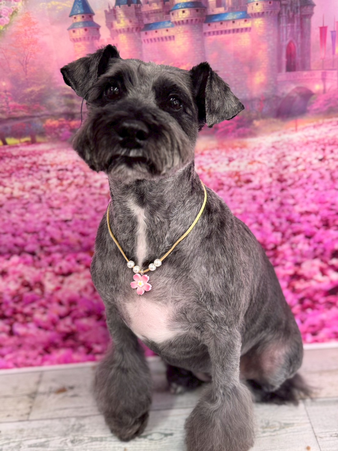 �I���[�W�� �挎�̂��q�l