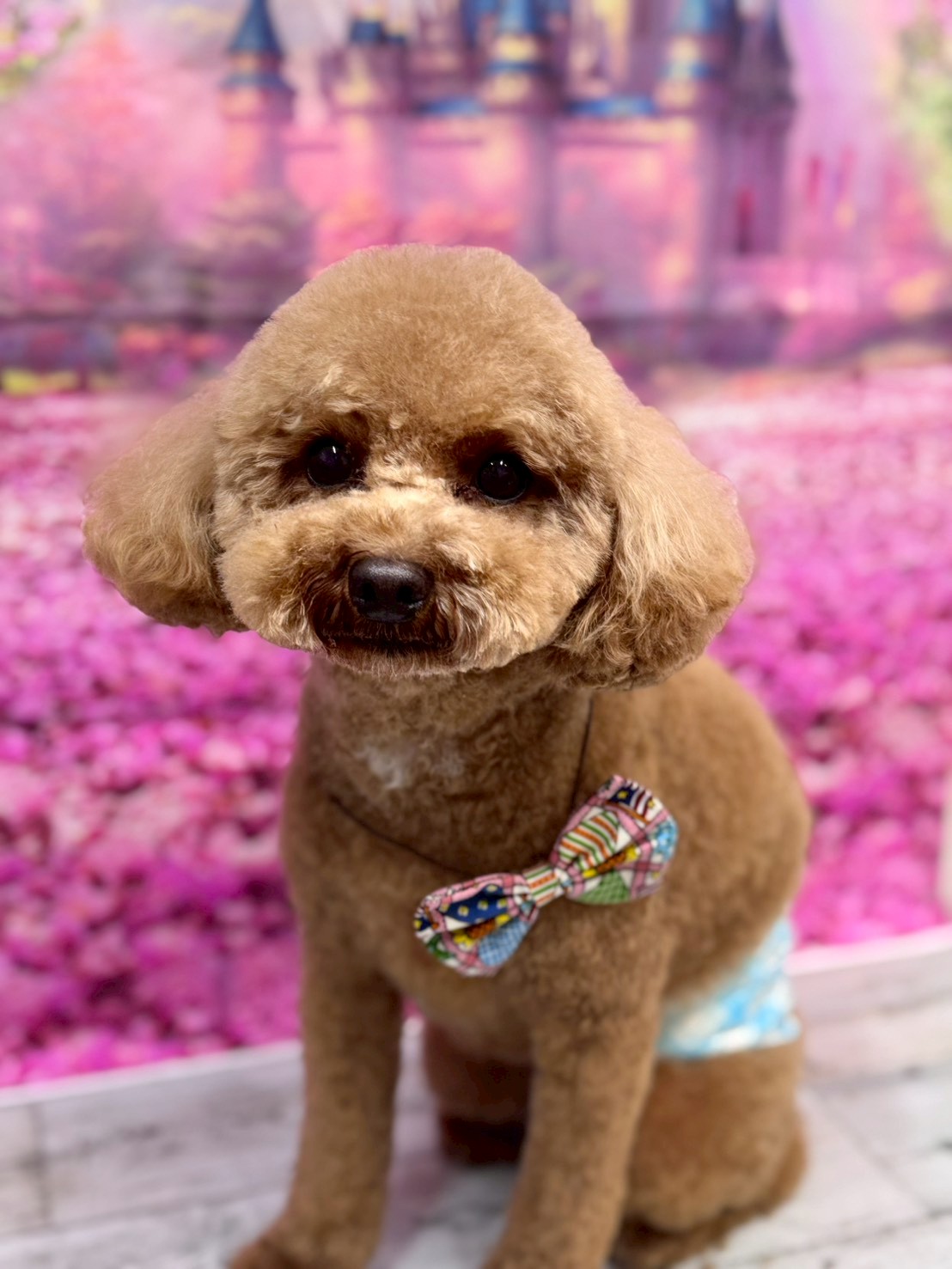 �I���[�W�� �挎�̂��q�l