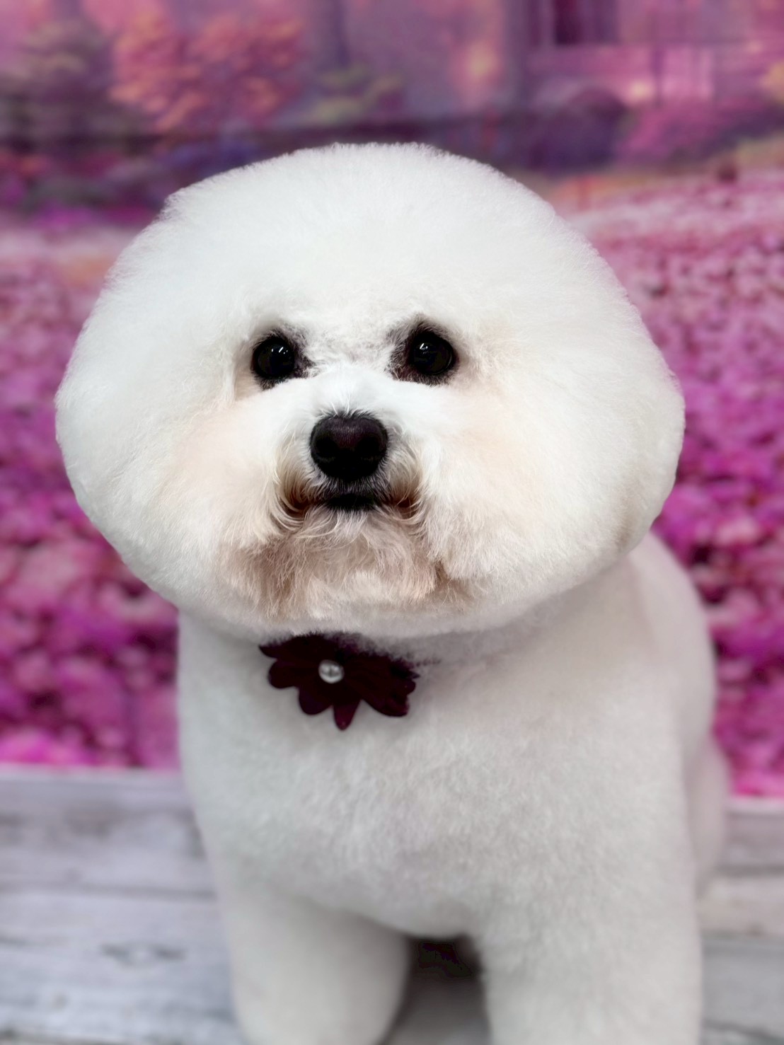 �I���[�W�� �挎�̂��q�l