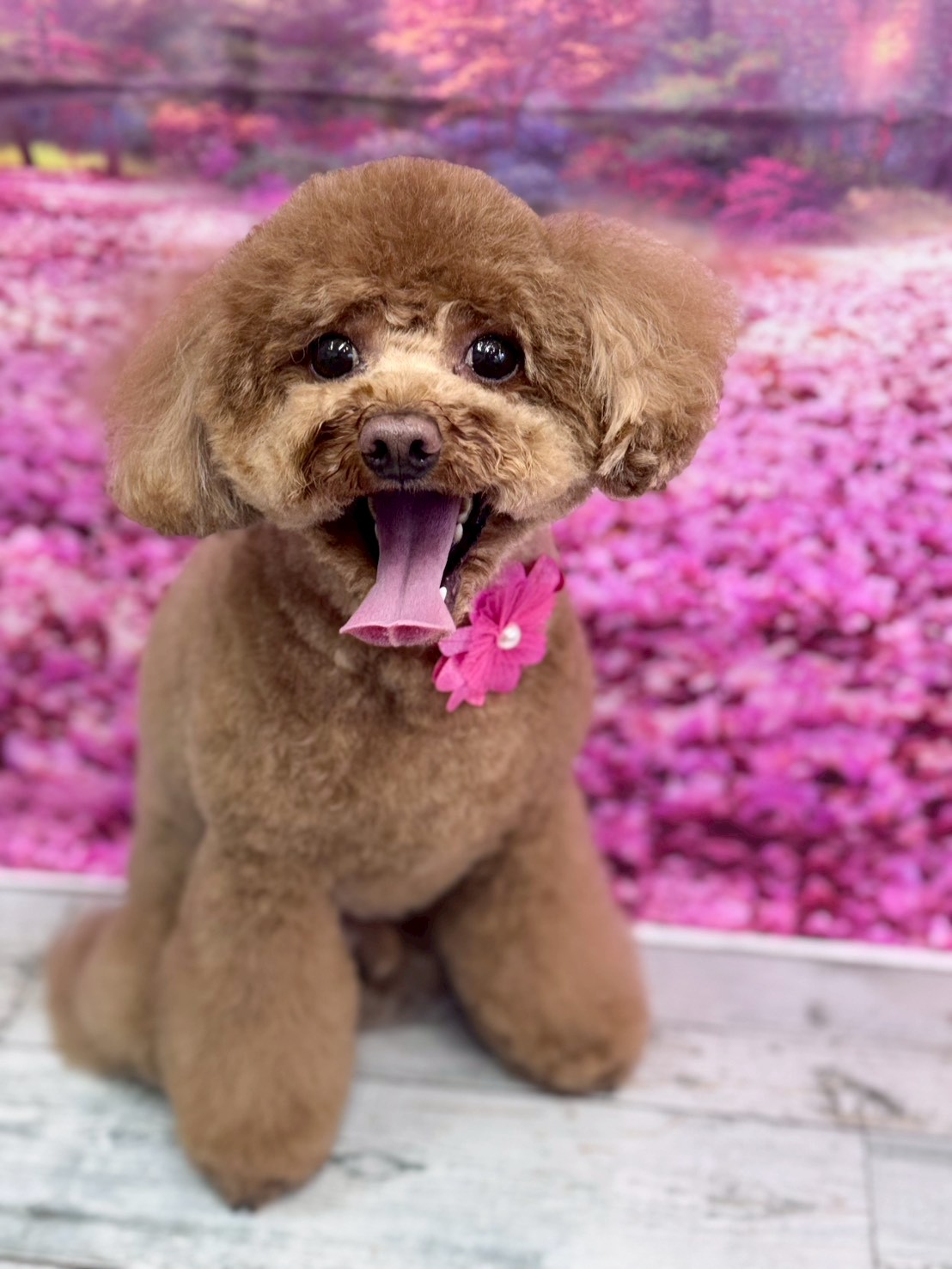 �I���[�W�� �挎�̂��q�l