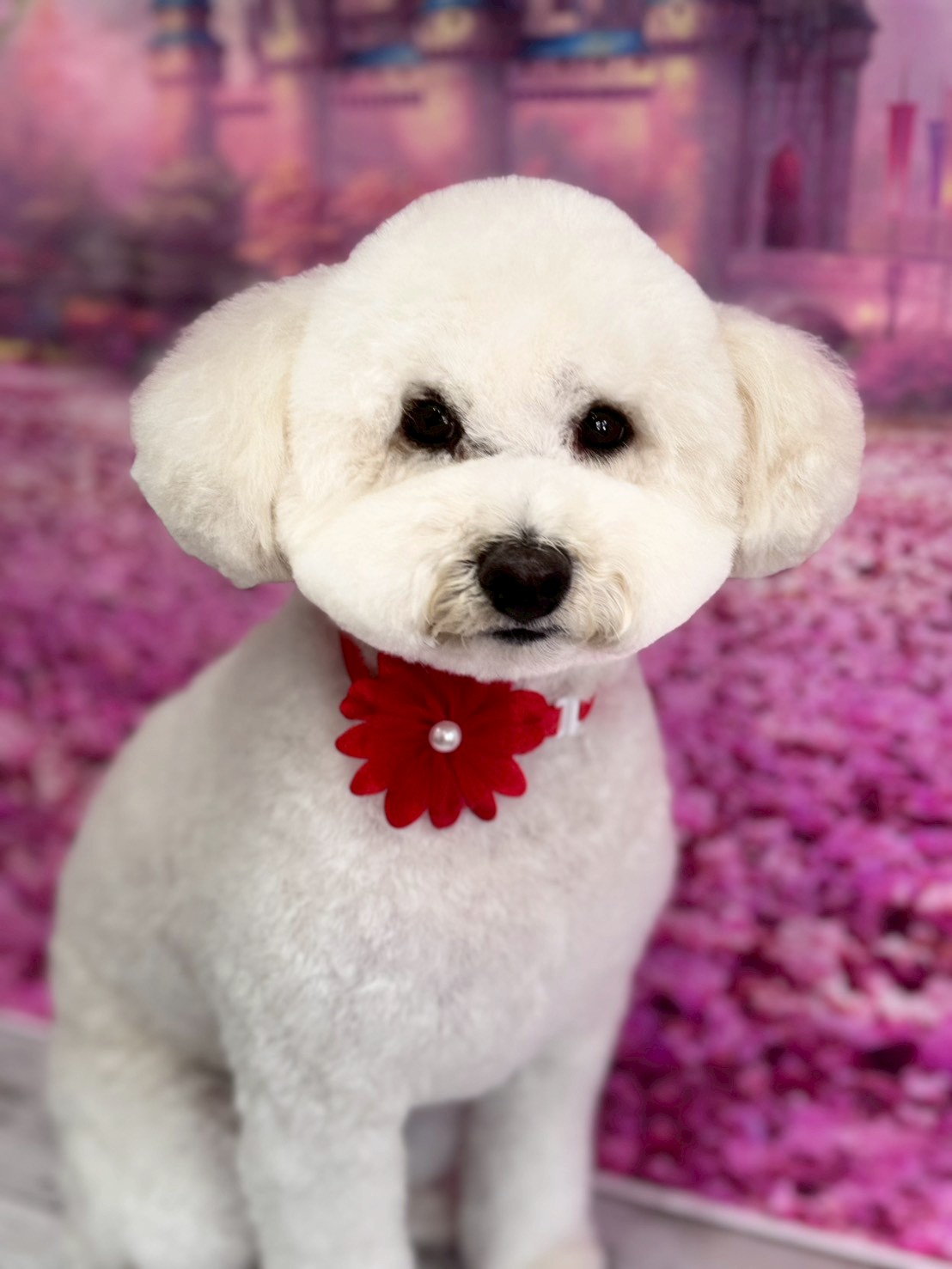 �I���[�W�� �挎�̂��q�l