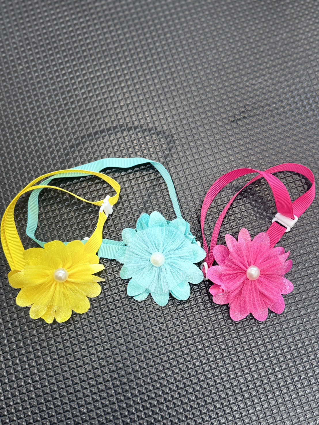 �I���[�W���̃m�x���e�B�[�O�b�Y