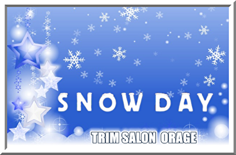 ORAGE / SNOW DAY割引きサービス
